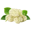 White Mulberry