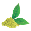 urbanism-ingredient-Gymnema Sylvestre