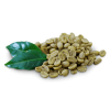 urbanism-ingredient-Green Cofee Bean
