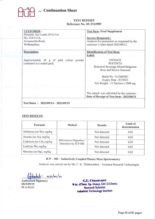 ITI Report Rocenta