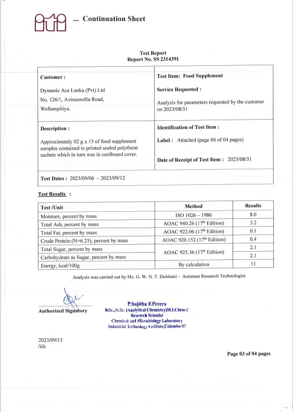 ITI Report Rocenta