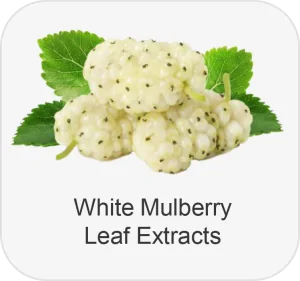 tiger milk mushroom extract