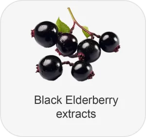 block elderberry extract
