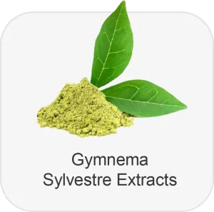 gymnema sylvestre extract