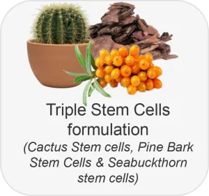 triple stem cells