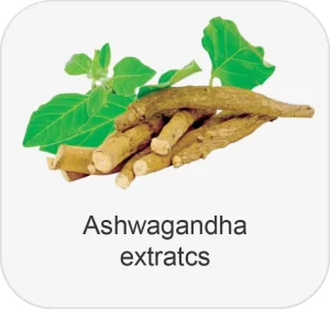 Ashwagandha Extracts