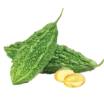 Bitter Melon