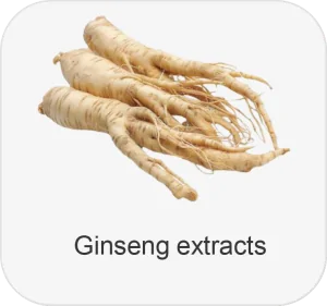 Ginseng Extracts