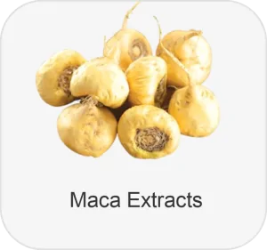 Maca Extracts