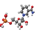 Nicotinamide mononucleotide is a nucleotide derived from ribose, nicotinamide, nicotinamide riboside, and niacin.