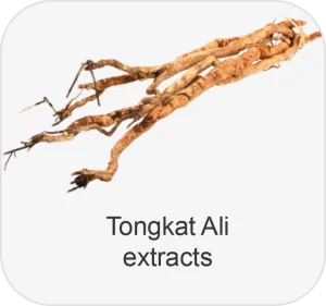 Tongkat Ali Extracts