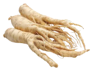 Ginseng extracts, derived from the roots of plants in the Panax genus, are known for containing ginsenosides, which are believed to be the active compounds responsible for various potential health benefits, such as boosting energy and focus. 