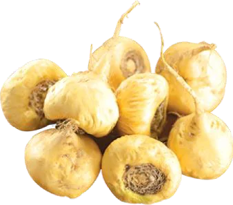 Maca extracts, derived from the Andean plant Lepidium meyenii, are traditionally used as a food and medicinal supplement, with purported benefits including improved sexual function, energy levels, and mood, though more scientific evidence is needed to support these claims. 