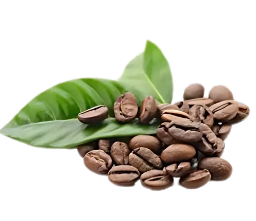 arabic-coffee triple root coffee