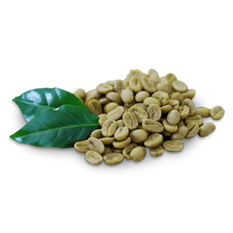 urbanism-ingredient-Green Cofee Bean