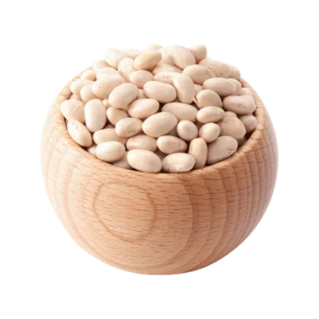 urbanism-ingredient-Kidney Bean