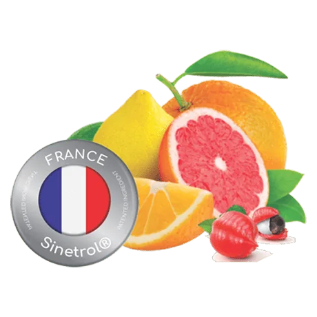 urbanism-ingredient-France Sinetrois