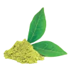 urbanism-ingredient-Gymnema Sylvestre